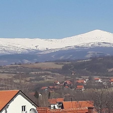 Apartman "Vienna" Sokobanja Zewnętrze zdjęcie