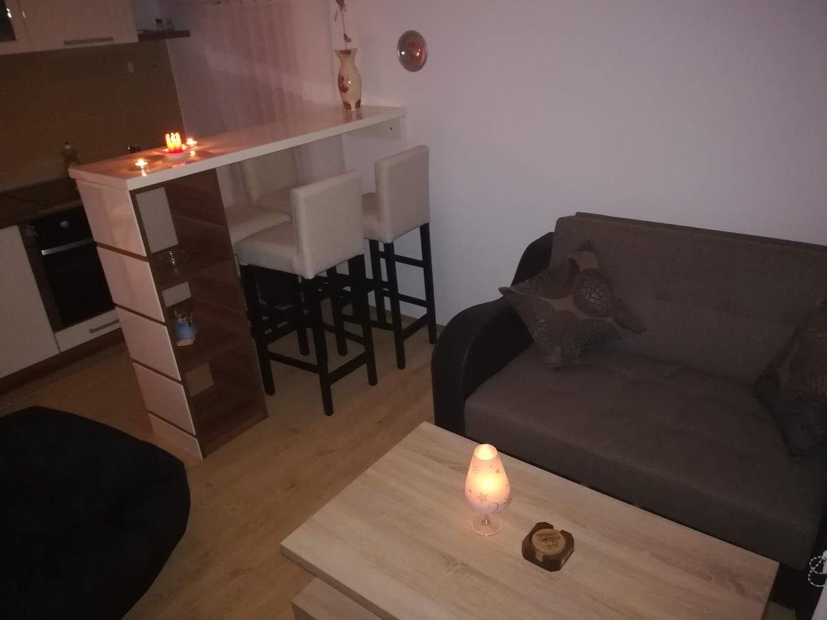 Apartman "Vienna" Sokobanja Zewnętrze zdjęcie